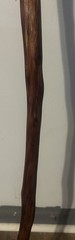 54” Natural Vine Twisted Dogwood Walking Stick Cane Wood Staff Trekking 4” Grip