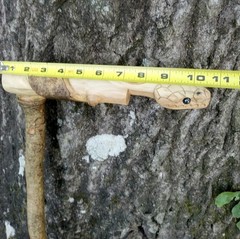 Handmade Snake/Python Cane Solid One Piece Walking Stick