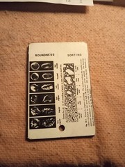 Grain Size Card – Roundness & Sorting (3.75″x2.75″)