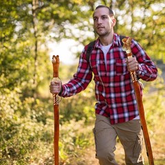 Carved Walking Stick with Animal Head – Lightweight and Strong Wooden Treckking