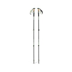 BLACK DIAMOND Trail Vista Shock Trekking Poles – Dark Mauve