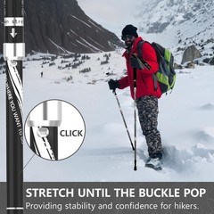 Collapsible Trekking Poles Aluminum Alloy Hiking Sticks 2 Piece Hiking