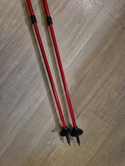 Sport Line Total Fitness Performance Walking Poles XC550 Extendable 110-135cm