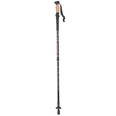 Walking Poles, Set of 2, Black