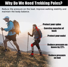 2X Trekking Poles Nordic Walking Hiking Sticks Adjustable Anti-shock Alpenstock
