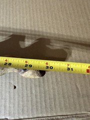 Handmade Twisted Wood Stick Brown White Stone Wall Hanger or Display