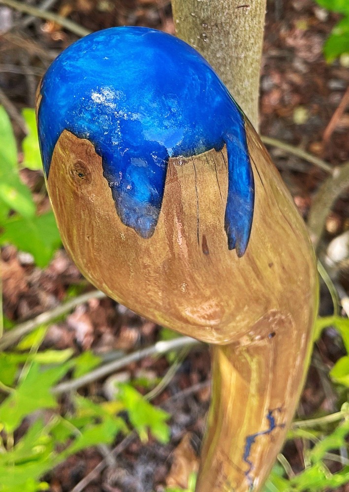 Walking Stick Fractal Lichtenberg With Epoxy Burl Top Handmade & Finished