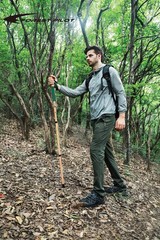 Trekking Poles 1 Piece Adjustable Hiking or Walking Stick Strong, Natural…