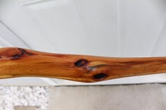 Custom Made Diamond Willow Walking Hiking Stick with Carved Antler Morel Topper