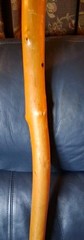 NATURAL TWISTED HIKING STICK BEAUTIFUL TWISTS & COLOR 56″