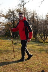 Sassafras Wood Adjustable Detachable Trekking Pole for Hiking 1pc Pack