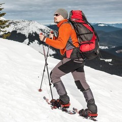 Aluminum Trekking Poles – Quick Adjustable Locks, Comfort Handle, Padded Stra…