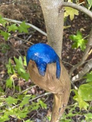 Walking Stick Fractal Lichtenberg With Epoxy Burl Top Handmade & Finished