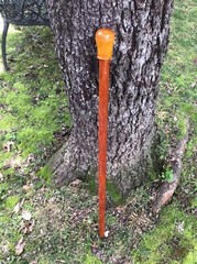 Stout KNOB HANDLE SOLID WOOD CARVED STAFF WALKING STICK CANE