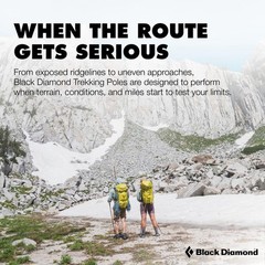 BLACK DIAMOND Trail Pro Shock Trekking Poles 105-140 cm (Shock Grip), Granite