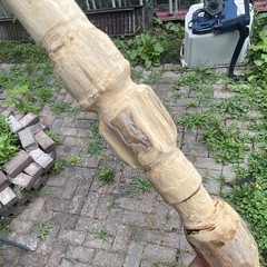 Hand-Carved Wooden Walking Stick Cane w/ Animal Head Handle, Brown, Unisex