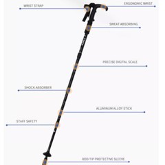 Trekking Poles Nordic Walking Hiking Sticks Adjustable Anti-shock Alpenstock US