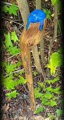 Walking Stick Fractal Lichtenberg With Epoxy Burl Top Handmade & Finished