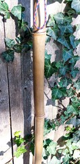 Bamboo Staff – 58″ – Walking Hiking Trekking Stick – Paracord Grip & Strap – #15