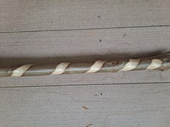 sturdy Natural DOGWOOD 46″ Walking-Stick 3D cut Spiral Deer Antler Burr Handle