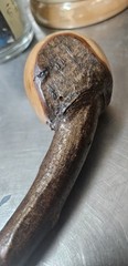 Night Watchman Blackthorn Shillelagh Stick / club