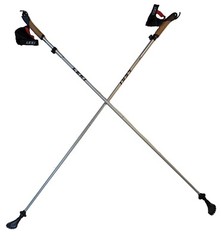 LEKI Nordic Walker Platinium Limited Edition Carbon Series 125cm Silver