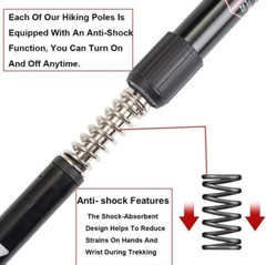 Trailbuddy Trekking Poles – Lightweight, Collapsible Hiking Poles Plum Purple