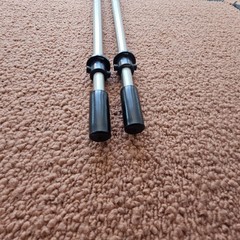 LL Bean Winter Walker Walking Hiking Sticks Set Telescopic Pole 100-130cm Bk1a