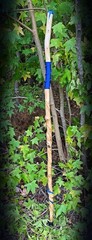 56” Vine Twisted Sweetgum Walking Stick Handmade & Finished