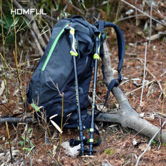Premium Nordic Walking Poles: Telescopic Alpenstock – Lightweight , Comfort Grip