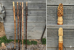 Walking Stick + Morel Mushroom + Carved + Morel Hiking Stick + Staff + USA Made