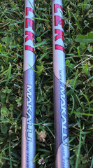 leki trekking poles