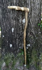 Handmade Snake/Python Cane Solid One Piece Walking Stick