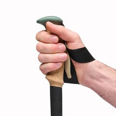 Black Diamond Trail Cork Trekking Poles, Fig