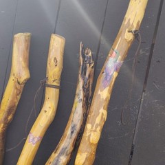 Handcrafted Wood Hiking Walking Stick Lot of 4 Brown/Yellow Unisex Adults