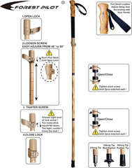 Trekking Poles- 1-Pc Pack – Adjustable Hiking or Walking Stick –Strong, Natural