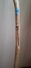 Hand made Viking one of a kind walking, hiking stick