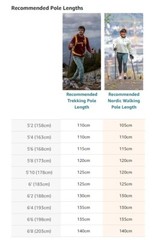 LEKI Nordic Walking Pacer T3 Ultra Lightweight Carbon 115cm Silver
