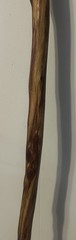 54” Natural Vine Twisted Dogwood Walking Stick Cane Wood Staff Trekking 4” Grip