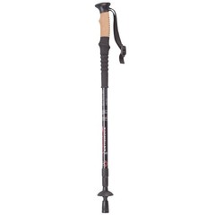 Walking Poles, Set of 2, Black