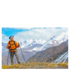 2x Trekking Poles Hiking Sticks Adjustable Alpenstock Poles for Nordic Walking