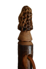 Walking Stick + Morel Mushroom + Carved + Morel Hiking Stick + Staff + USA Made