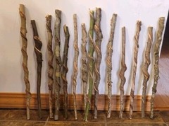 Set of 14 FRESH Cut Vine Twisted Stick FAIRY WANDS with Bark~ Read Description