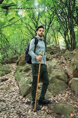 3pc Detachable Hardwood Walking Stick for Hiking with 48″, Nature Wood Color