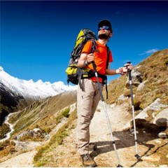 ​ ​Tactical Walking Sticks – Adjustable Anti-Shock for Hiking & Survival​