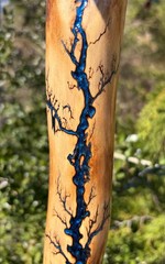 64” Sweetgum FRACTAL LICHTENBERG Walking HIKING Stick Handmade & Finished 🇺🇸