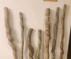 BEAUTIFUL!! Set of 7 FRESH Cut Vine Twisted Stick with Bark~ Read Description