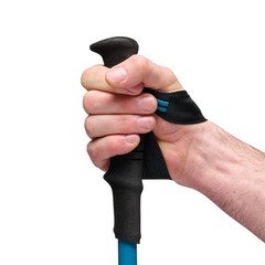 Black Diamond Distance Carbon Z Trekking Poles