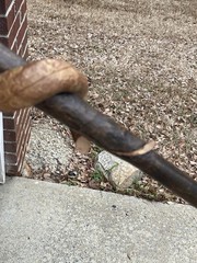 Hand-Carved Wood Walking Stick Snake Design Brown Hiking Rounded Top
