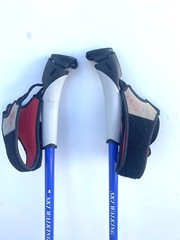 SKI WALKING Extendable 50 inches Pair of Trekking Poles